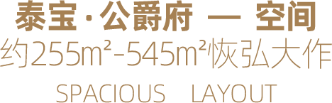泰宝•公爵府—空间 约255㎡-545㎡恢弘大作 SPACIOUS LAYOUT